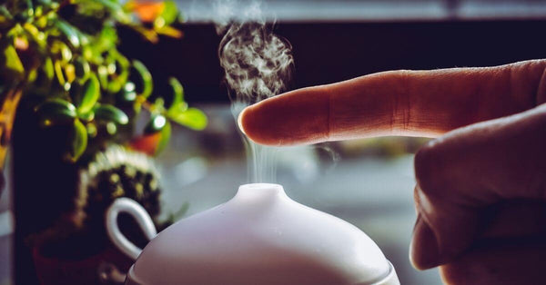 What's the Difference Between A Diffuser And A Humidifier