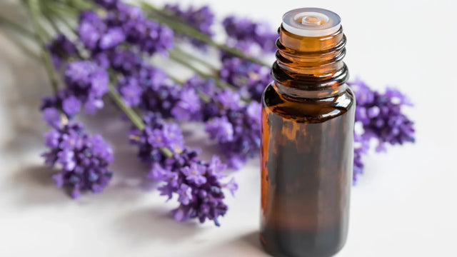 Lavender Oil for Sleep & Relaxation: How to Use It