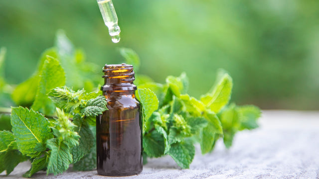 Peppermint Oil Uses: How to Use It at Home