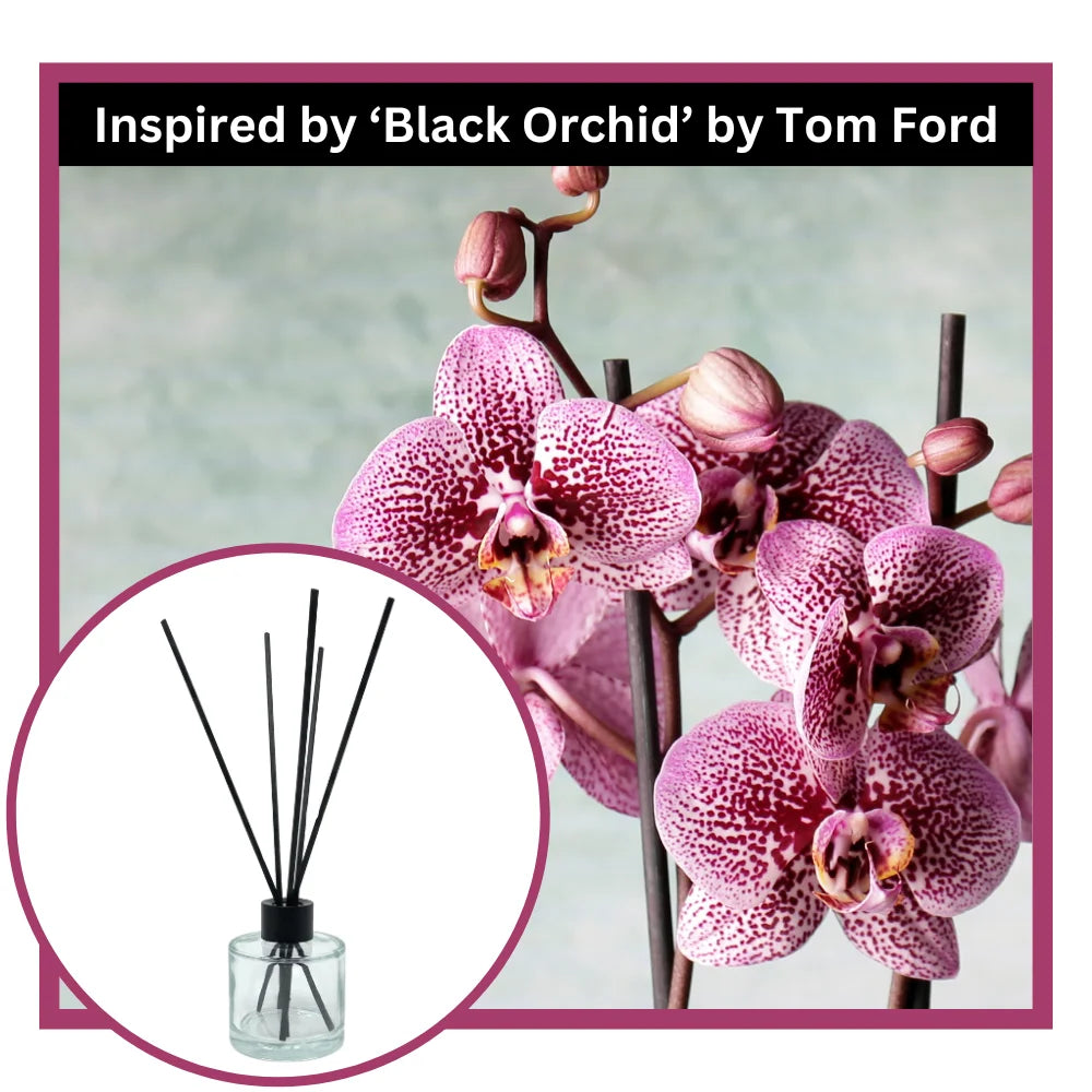 Charli Reed Diffuser