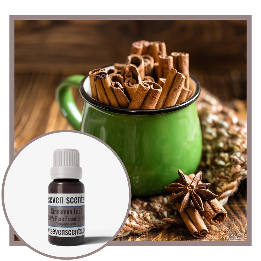 Cinnamon leaf essential oil by Seven Scents with a green mug filled with cinnamon sticks on a wooden surface