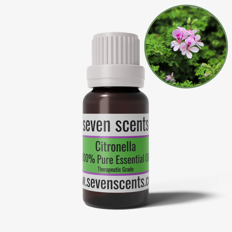 Citronella essential oil in a 10ml amber glass bottle - by Seven Scents