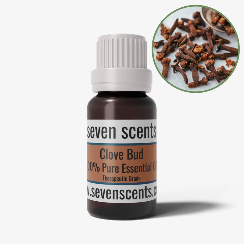 Clove Bud essential oil in a 10ml amber glass bottle - by Seven Scents