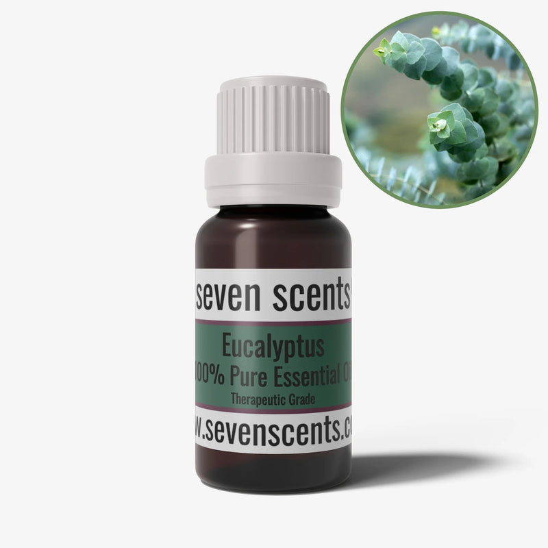 Eucalyptus essential oil in a 10ml amber glass bottle - by Seven Scents
