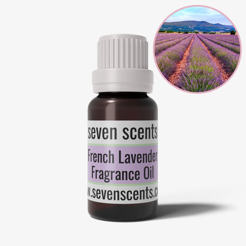 French Lavender Fragrance Oil - Floral home fragrance by Seven Scents