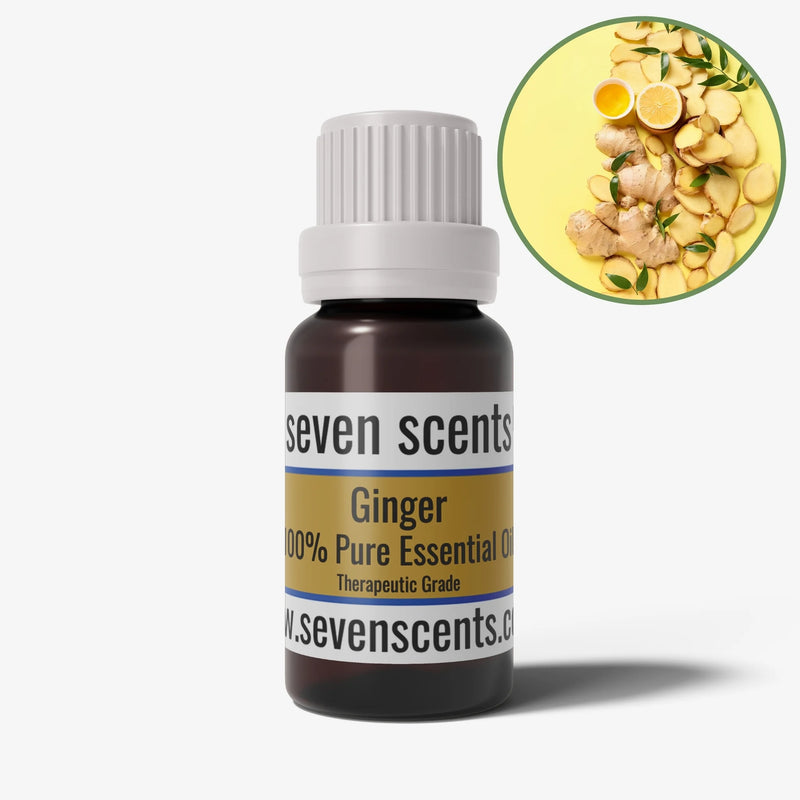 Ginger essential oil in a 10ml amber glass bottle - by Seven Scents