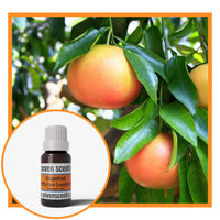 Grapefruit essential oil by Seven Scents with fresh grapefruit on a tree