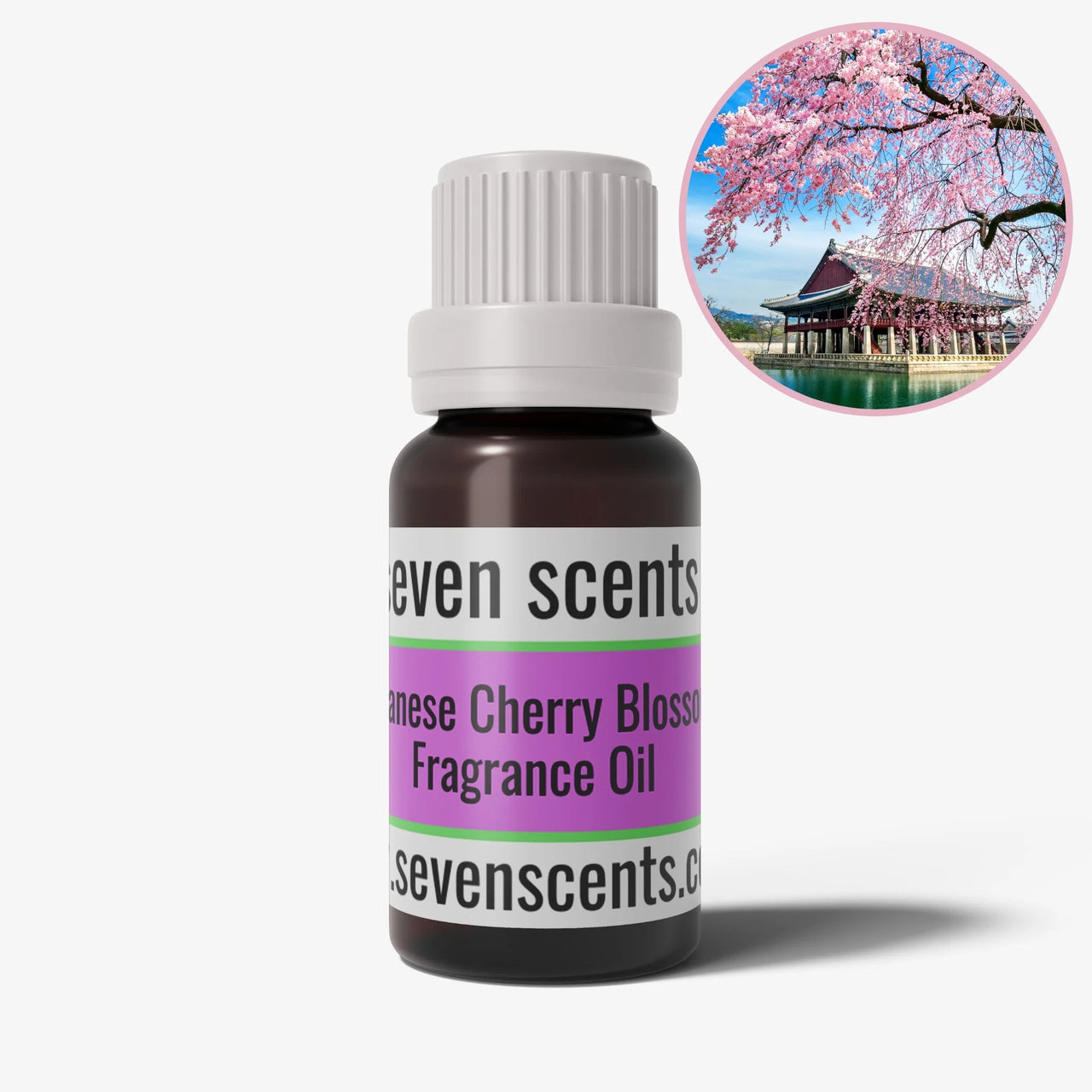 Japanese Cherry Blossom Fragrance Oil | Seven Scents NZ