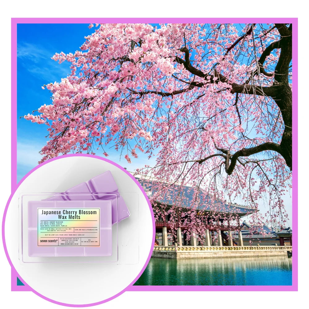 Japanese Cherry Blossom wax melts with cherry blossom tree and traditional building in the background