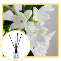 Jasmine & Sweet Pea Reed Diffuser