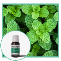 Peppermint essential oil by Seven Scents with peppermint leaves in the background