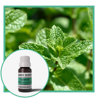 Spearmint essential oil by Seven Scents with spearmint leaves