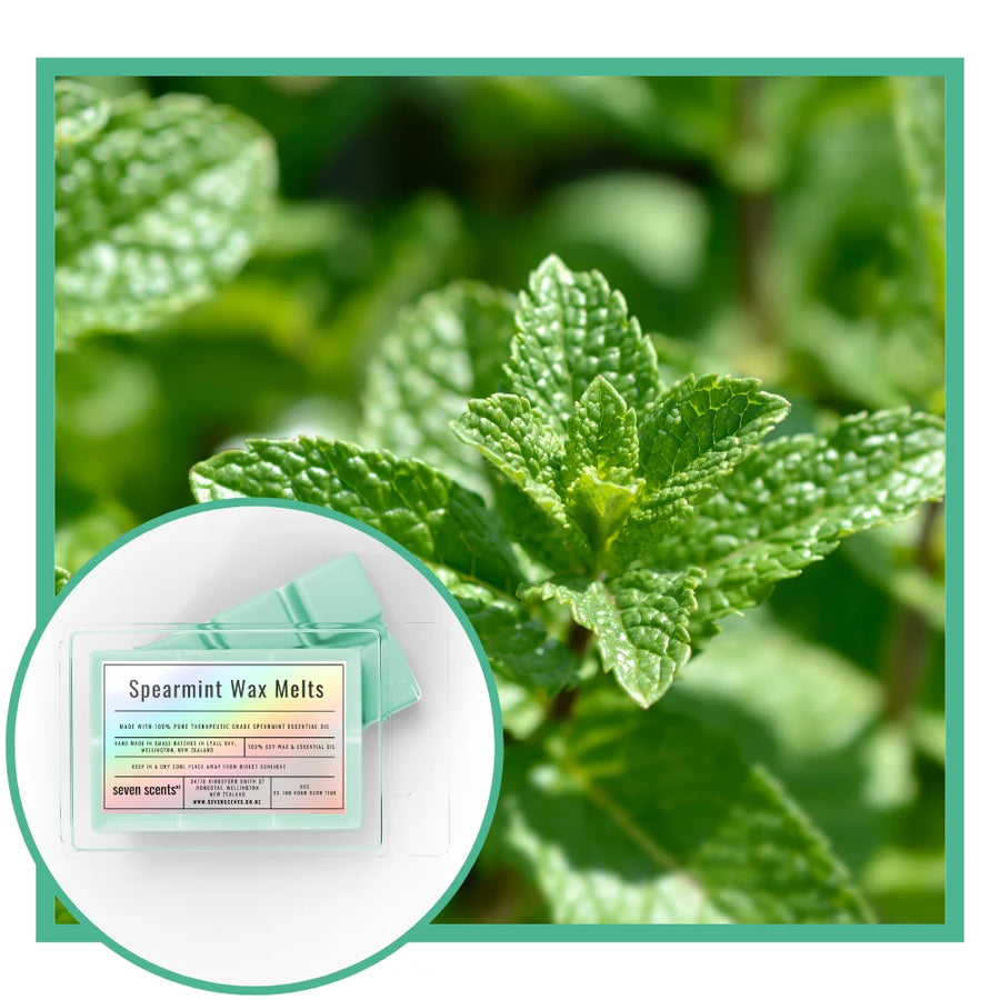Spearmint wax melts with spearmint plant in the background