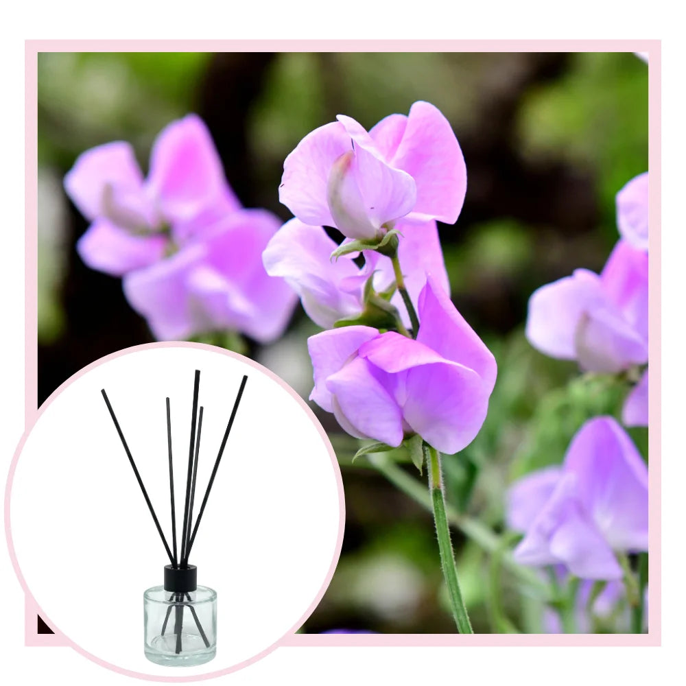 Sweet Pea and Vanilla Reed Diffuser