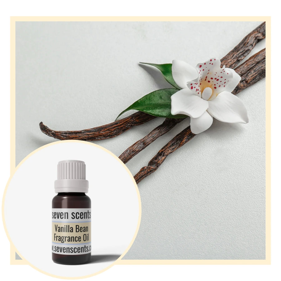 Vanilla bean with a flower and a bottle of Seven Scents Vanilla Bean Fragrance Oil on a light gray background.