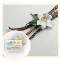 Vanilla bean wax melts with vanilla beans and a flower on a light gray background