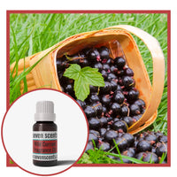 Wild currant fragrance oil with a basket of black currants