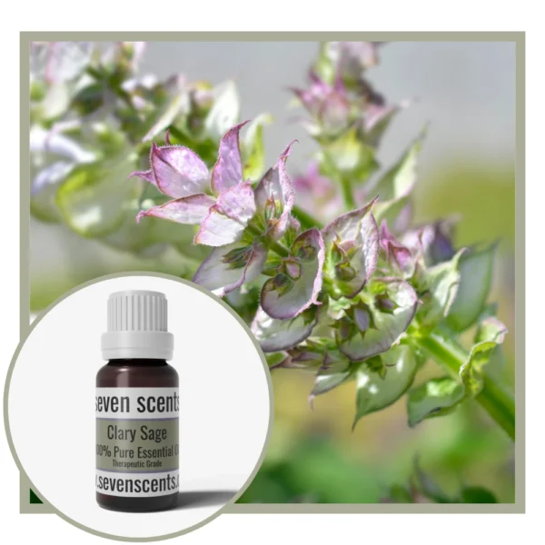 Clary Sage Essential Oil NZ