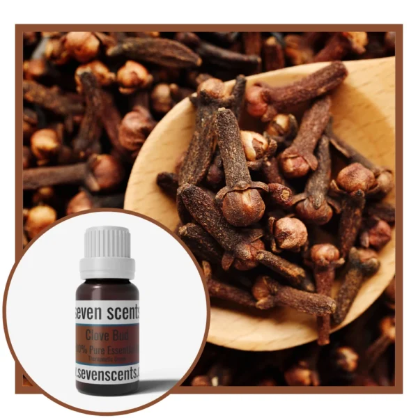 Clove Bud Essential Oil NZ