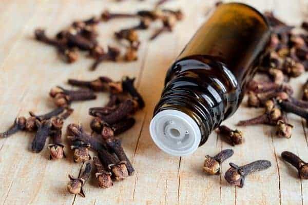 Clove Bud Essential Oil Clove Bud Essential Oil with clove buds on a wooden table