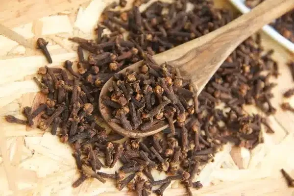 Clove Buds on a wooden spoon spread on a wooden surface Clove Buds on a wooden spoon spread on a wooden surface