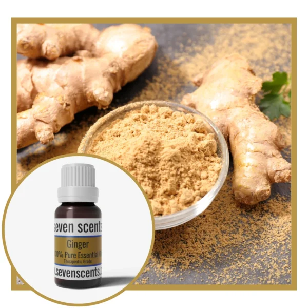 Ginger Essential Oil NZ