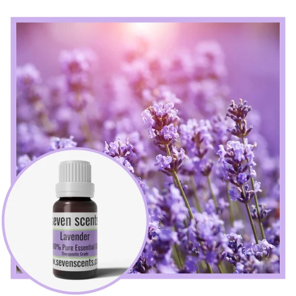 Lavender Essential Oil NZ