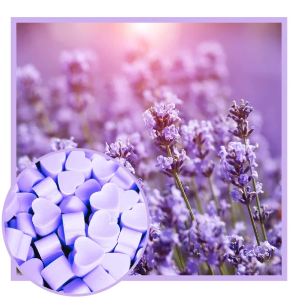 Lavender Scented Wax Melts NZ