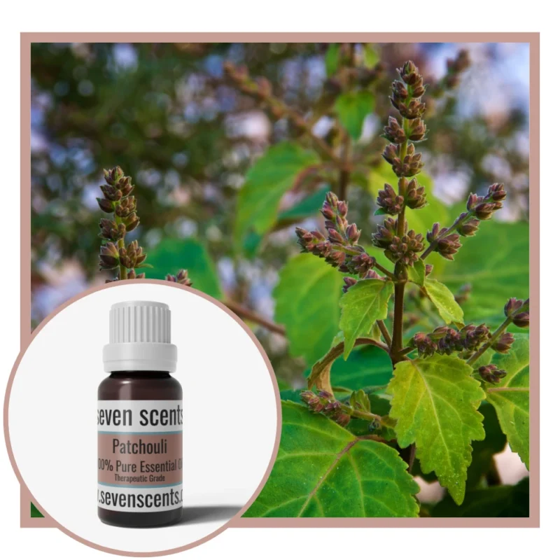 Patchouli Essential Oil NZ