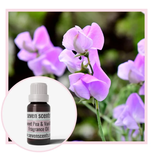 Sweet Pea Vanilla Fragrance Oil NZ