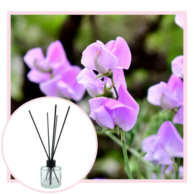 Sweet pea and vanilla reed diffuser