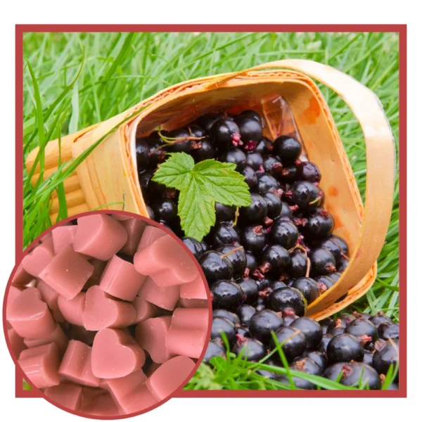 Wild Currant Scented Wax Melts NZ
