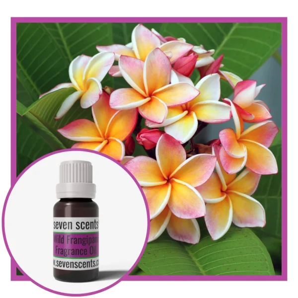 Wild Frangipani Fragrance Oil NZ